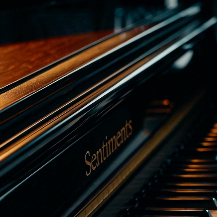 Sentiments Sample Bundle (Emotive Collection)